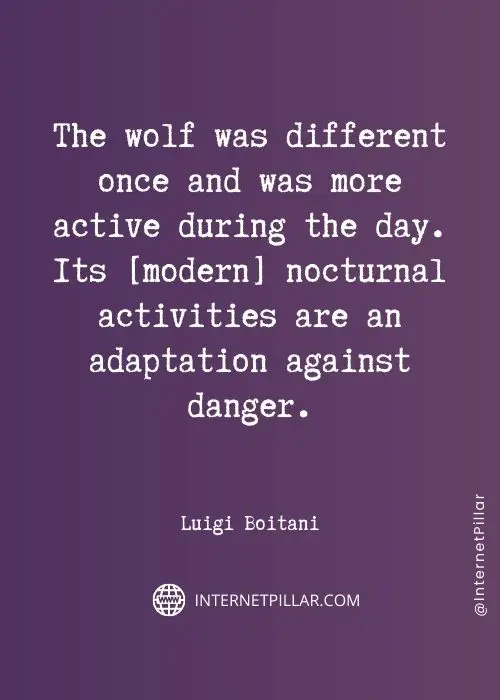 lone-wolf-quotes
