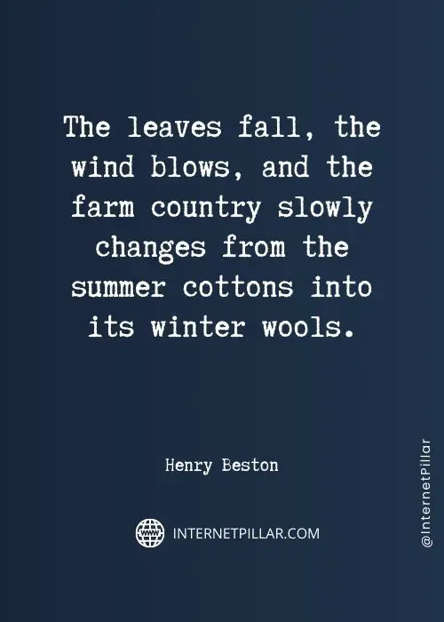 motivational-fall-quotes
