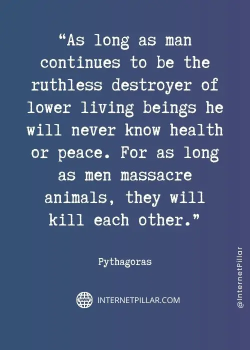 motivational-pythagoras-quotes
