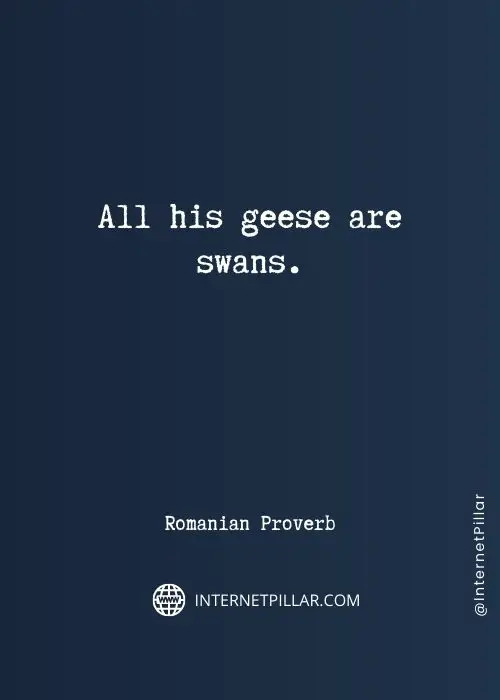 motivational swan quotes