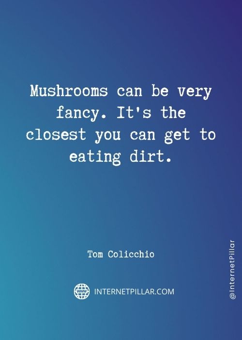 mushroom-sayings
