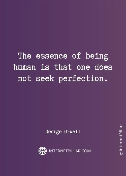 perfection-quotes
