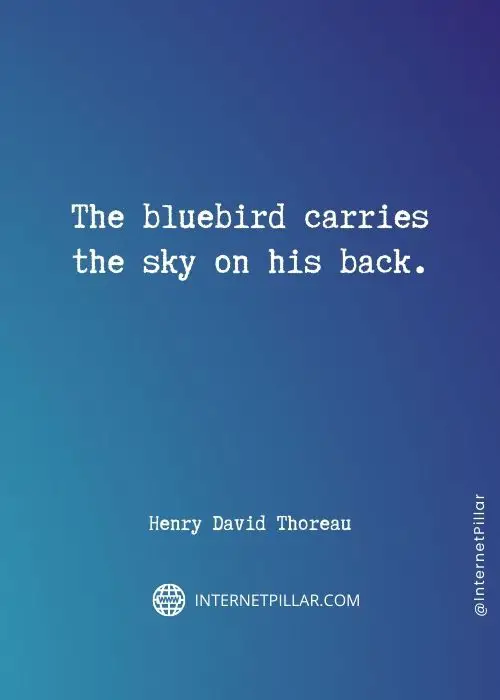 powerful birds quotes