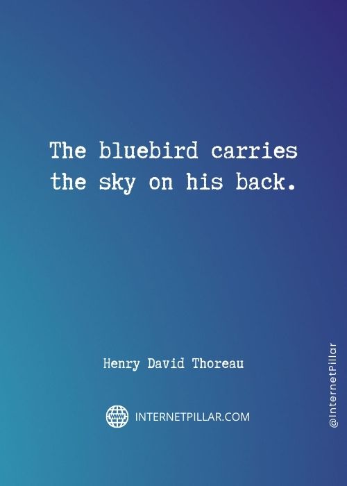 powerful-birds-quotes
