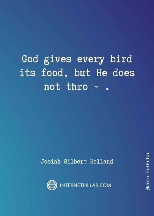 profound-birds-quotes
