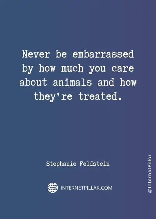 quotes-about-animal-lover

