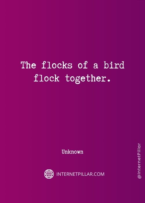 quotes-about-flamingo
