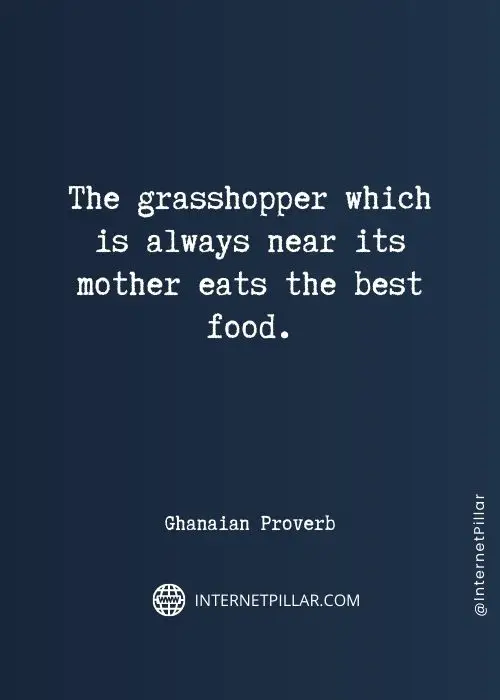 quotes-about-grasshopper
