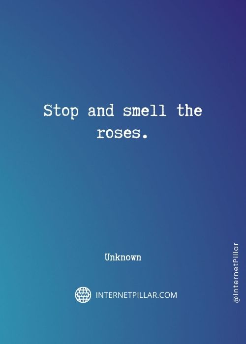quotes about smell the roses