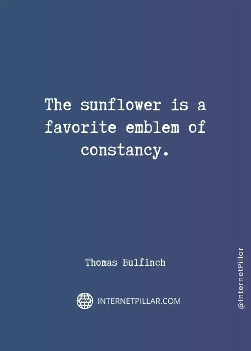 quotes about sunflower
