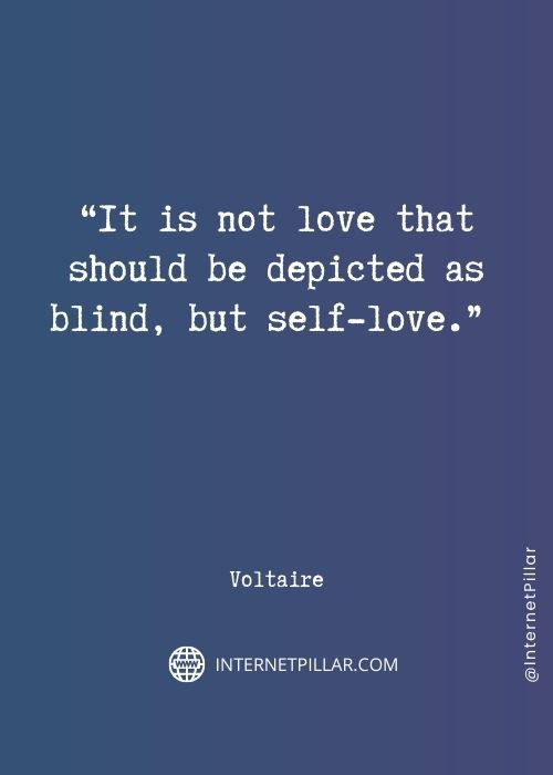 quotes-about-voltaire
