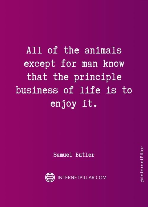 quotes-on-animal-lover
