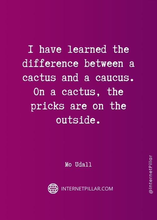 quotes on cactus