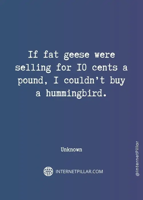 quotes-on-hummingbird
