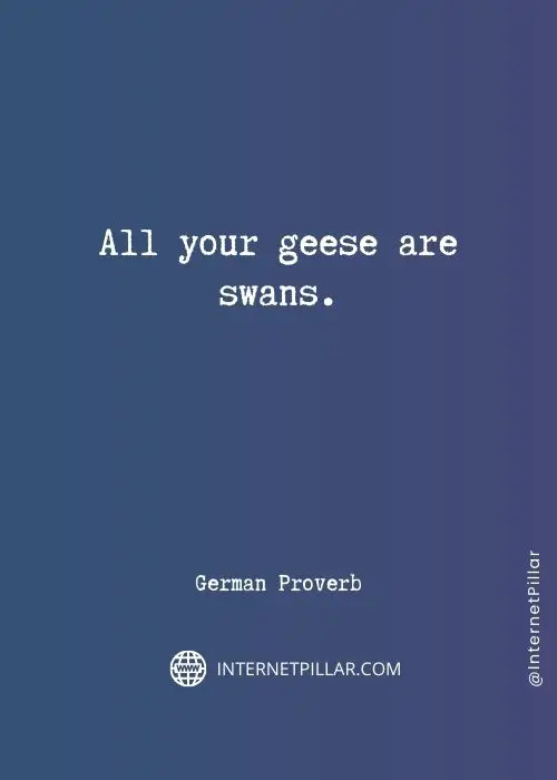 quotes on swan