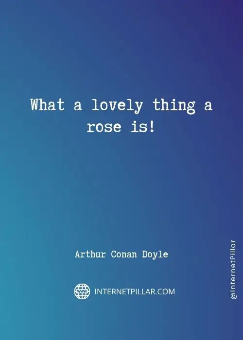 rose sayings