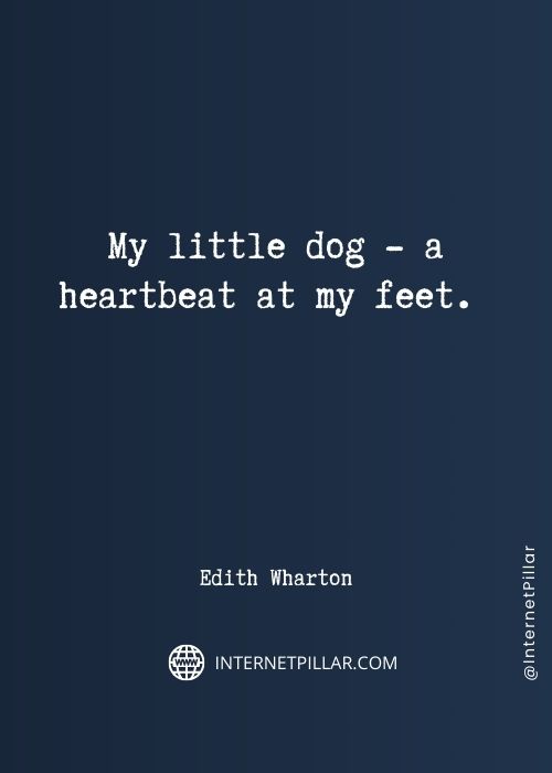 top-animal-lover-quotes
