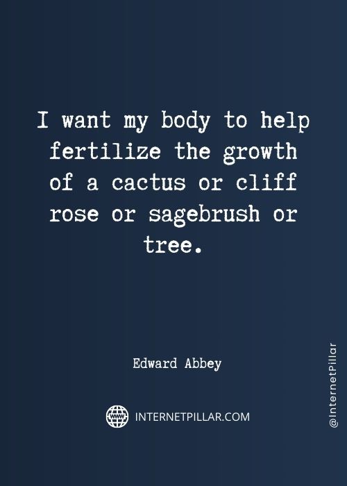 top cactus quotes