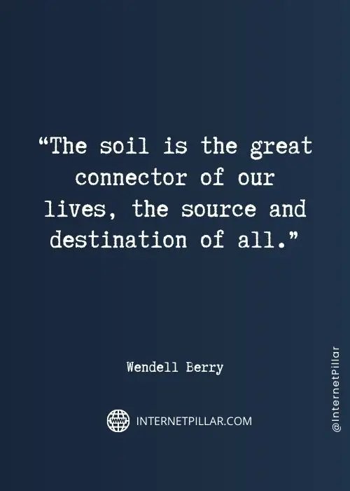 wendell-berry-quotes
