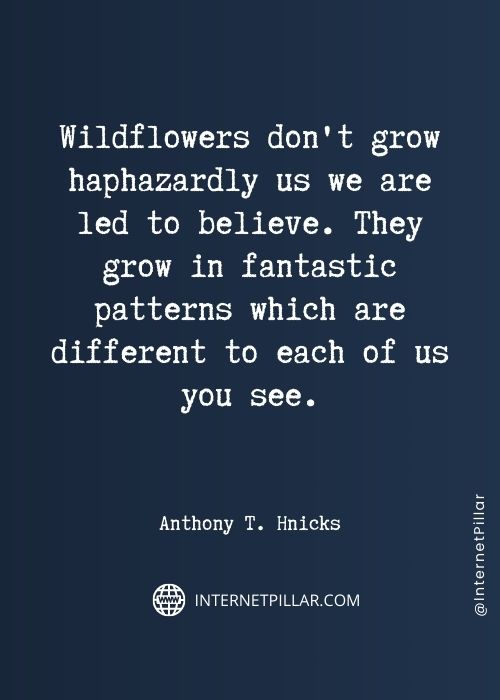 wildflower-quotes
