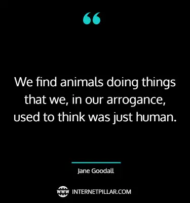 best-jane-goodall-quotes