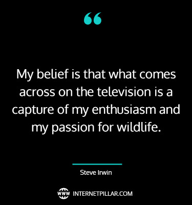 best-steve-irwin-quotes