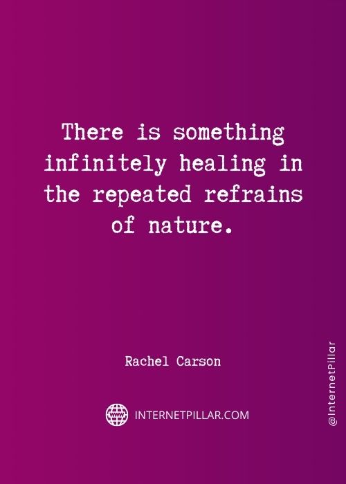 inspiring-rachel-carson-quotes
