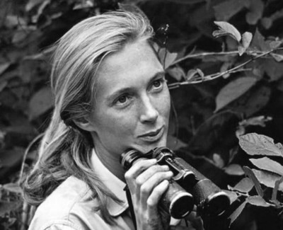 jane-goodall