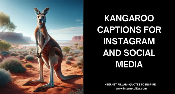 Kangaroo Captions For Instagram and Social Media
