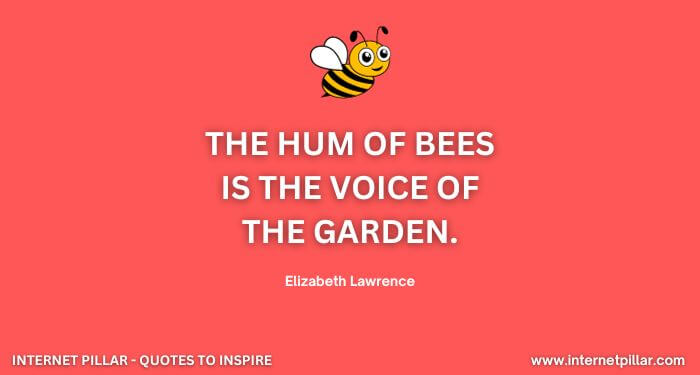 The hum of bees is the voice of the garden. ~ Elizabeth Lawrence.
