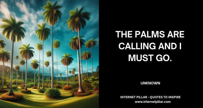 The palms are calling and I must go. ~ Unknown