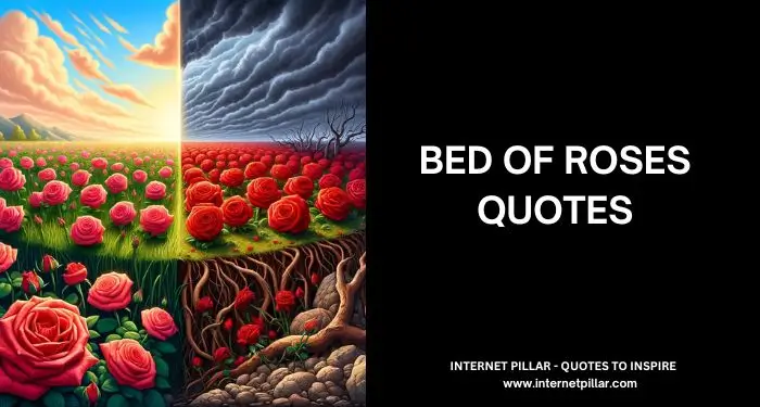 Bed Of Roses Quotes