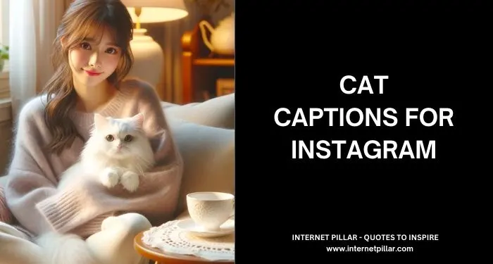 Cat Captions for Instagram and Social Media