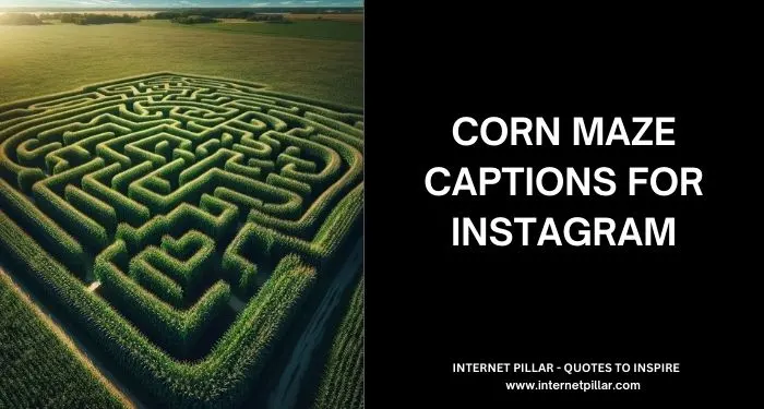 Corn Maze Captions for Instagram and Social Media