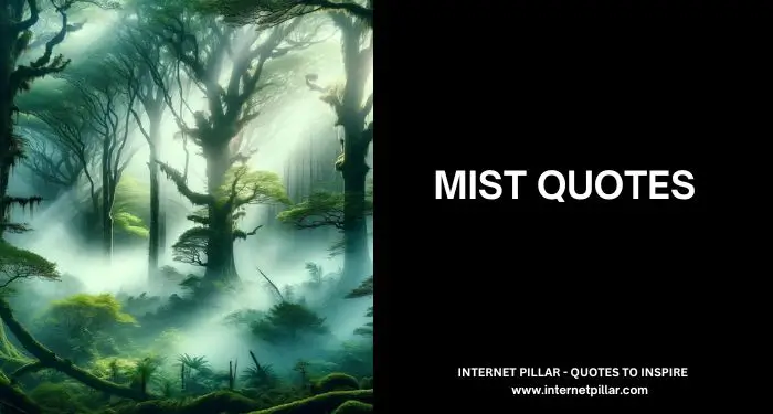 113 Mist Quotes to Enjoy the Beauty of Nature