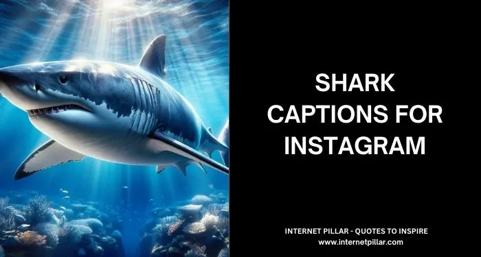 Shark Captions for Instagram and Social Media