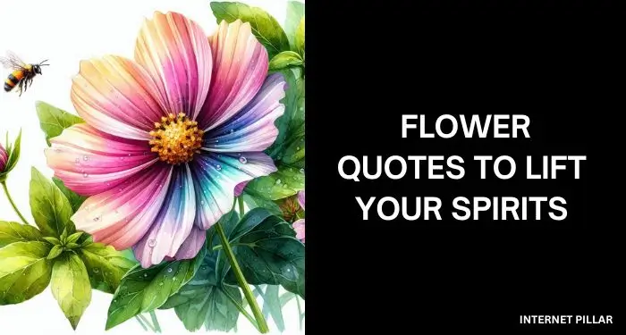 80 Inspiring Flower Quotes to Lift Your Spirits
