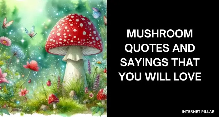 Mushroom Quotes and Sayings That You Will Love