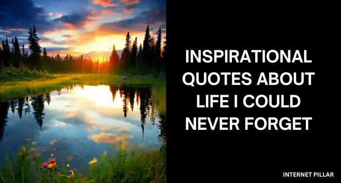Inspirational Quotes About Life I Could Never Forget